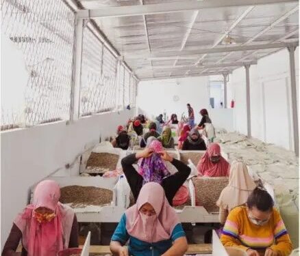 Mandheling Blue Sumatra